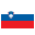 Slovenia Flag Icon