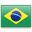 BRAZIL Flag Icon