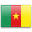 CAMEROON Flag Icon