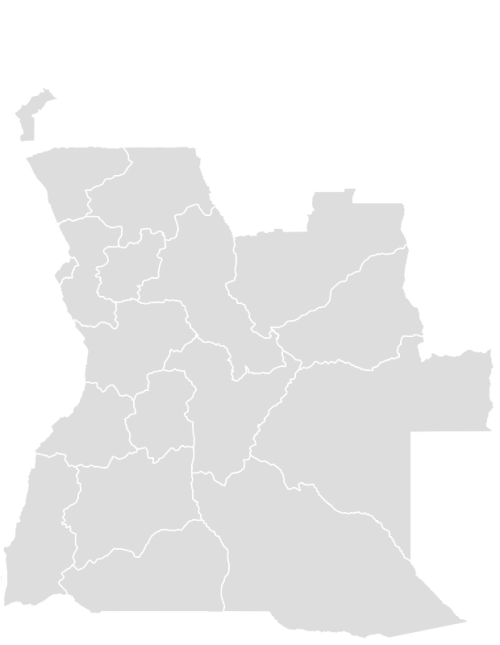 Color Blank Map of ANGOLA with Statistics