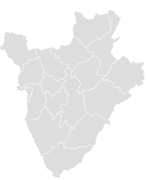 Color Blank Map of BURUNDI with Statistics