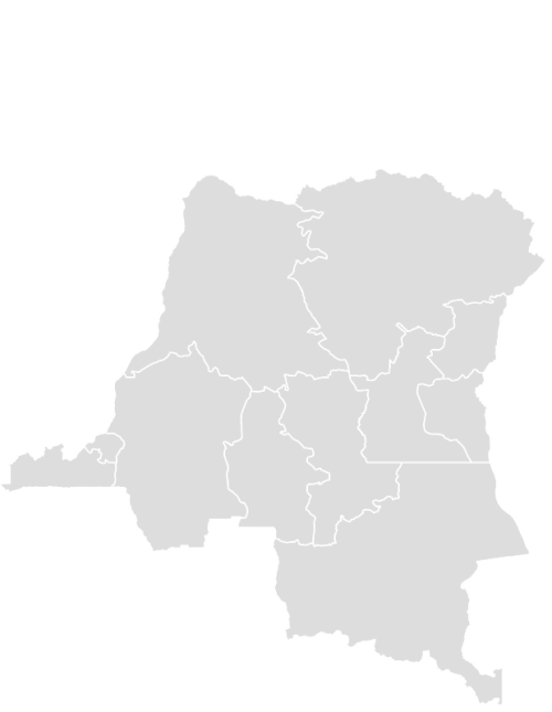 Color Blank Map of CONGO_DR with Statistics