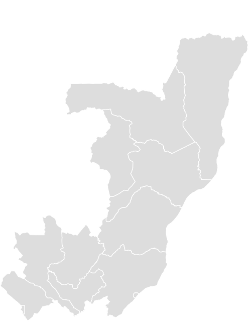 Color Blank Map of CONGO with Statistics
