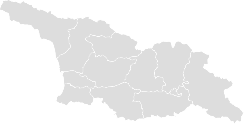Color Blank Map of GEORGIA with Statistics