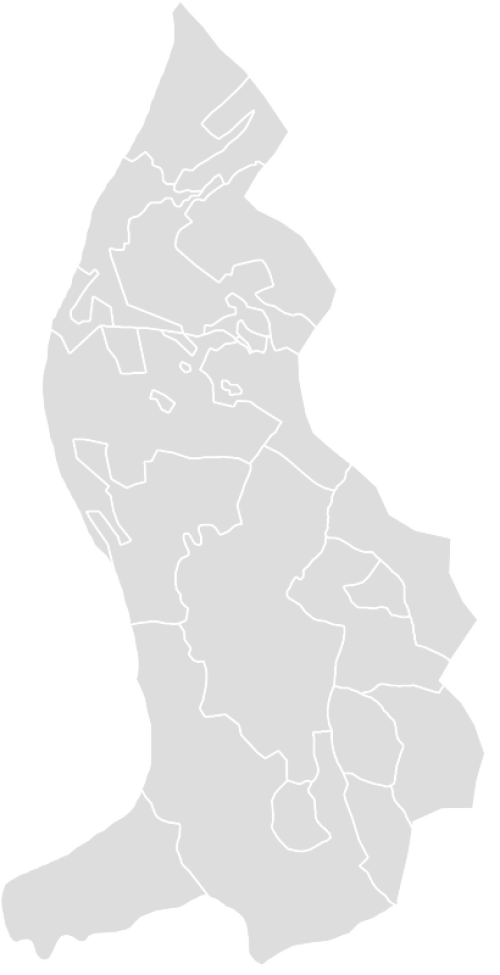 Color Blank Map of LIECHTENSTEIN with Statistics