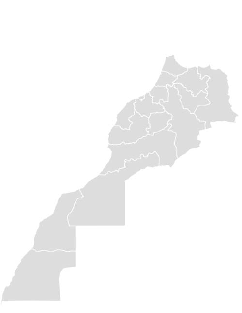 Color Blank Map of MOROCCO with Statistics