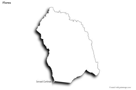 Sample Maps for Flores (black-white,shadowy)