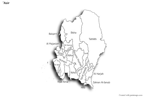 Sample Maps for 'Asir (black-white,shadowy)
