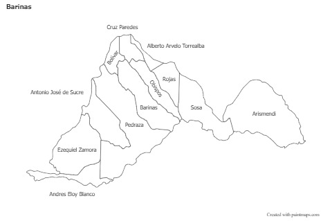 Sample Maps for Barinas (black-white)