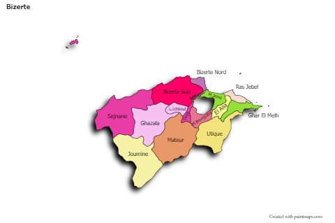 Contoh Peta untuk Bizerte (berwarna,bayangan)