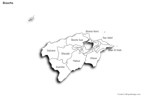 Contoh Peta untuk Bizerte (hitam-putih,bayangan)