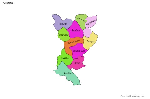 Contoh Peta untuk Siliana (berwarna)