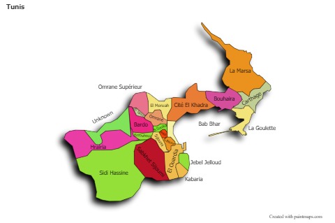 Sample Maps for Tunis (colored,shadowy)