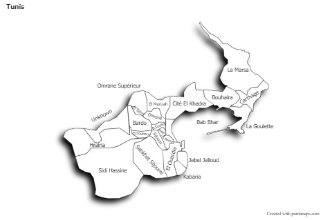 Sample Maps for Tunis (black-white,shadowy)