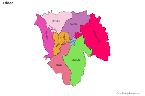 Sample Maps for Tshopo (colored)