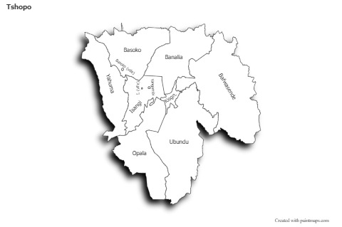Sample Maps for Tshopo (black-white,shadowy)