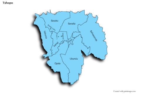 Sample Maps for Tshopo (blue,shadowy)