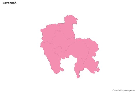 Sample Maps for Savannah (pink,outline)