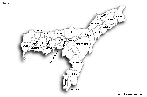 Mapas de muestra para Assam (blanco-negro,sombrío)