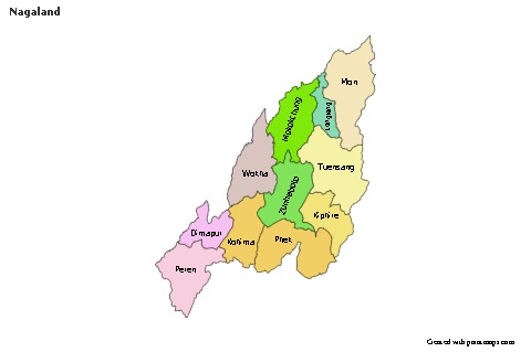 Nagaland için Örnek Haritalar (renkli)