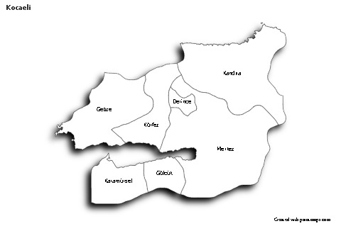 Sample Maps for Kocaeli (black-white,shadowy)