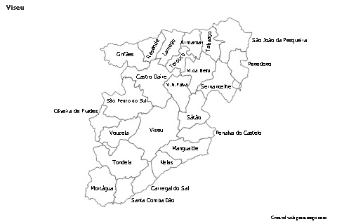Sample Maps for Viseu (black-white)