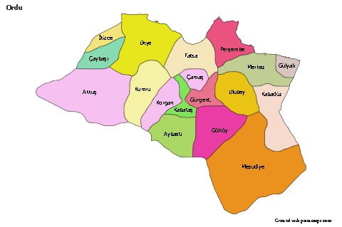 Sample Maps for Ordu (colored)