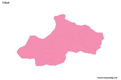 Sample Maps for Tokat (pink,outline)