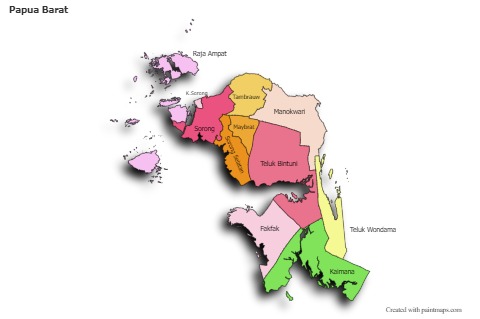 Contoh Peta untuk Papua Barat (berwarna,bayangan)