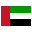 United Arab Emirates Flag Icon
