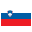SLOVENIA Flag Icon