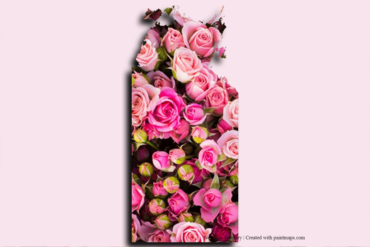 Northern Territory Photo Map Maker - Photo Map 1145c 