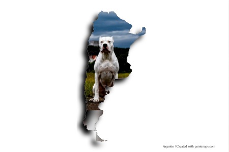 Argentina Dogo  (on Argentina map)