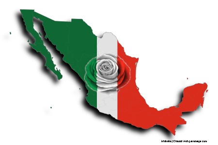 Flag of Mexico - rose (on Mexico map)