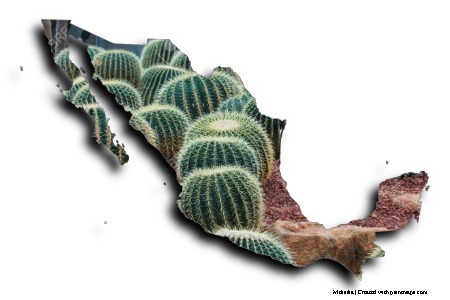 Cacti (on Mexico map)