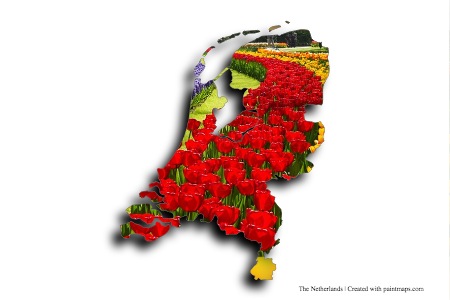 Dutch Tulip (on The Netherlands map)