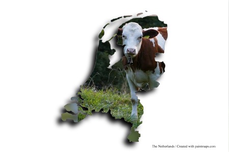 Simental Cow (on The Netherlands map)