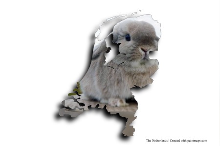 Lop Bunny (on The Netherlands map)