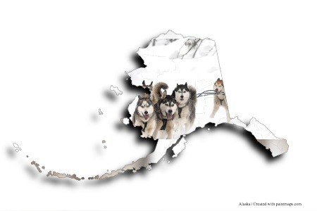 Anjing kereta luncur Alaska (di peta Alaska)
