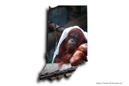 Zoológico infantil de Fort Wayne (en el mapa de Indiana)