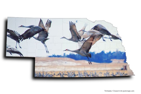 Migración de grúas Sandhill (en el mapa de Nebraska)