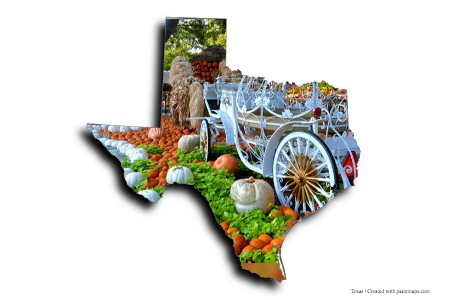 Dallas Arboretumu (Teksas haritası üzerinde)