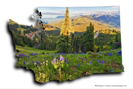 Port Angeles (on Washington map)