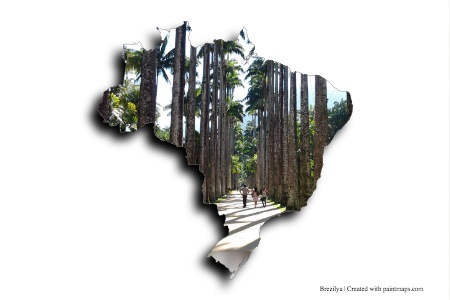 Tijuca Forest (on Brazil map)