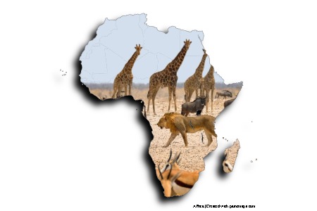 Afrika'da Vahşi Yaşam (Afrika haritası üzerinde)