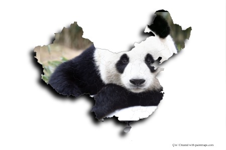 Panda (Çin haritası üzerinde)