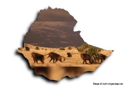 Yangudi Rassa National Park (on Ethiopia map)