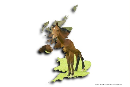 British Horse (on United Kingdom map)