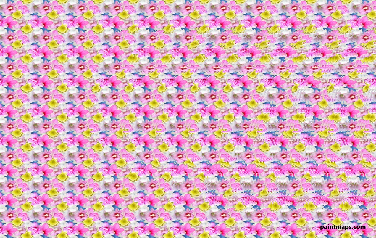 ASYA Haritası - 3D Stereogram (Şaşı Bak Şaşır)