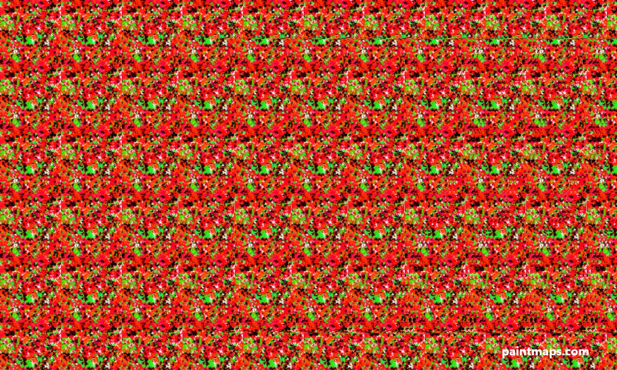 Arkansas Haritası - 3D Stereogram (Şaşı Bak Şaşır)